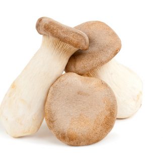 Shiitake Bulk Fresh - Mousam Valley Mushrooms