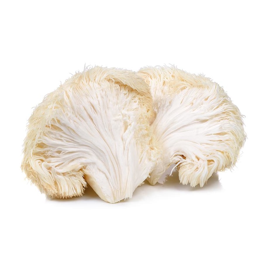Lion\u0026#39;s Mane Bulk Fresh - Mousam Valley Mushrooms