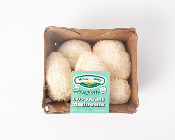 Lion's Mane 3.5oz Packaged Fresh - Mousam Valley Mushrooms