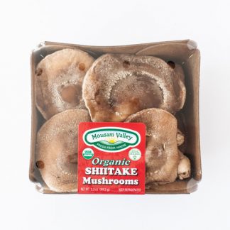 Shiitake Bulk Fresh - Mousam Valley Mushrooms