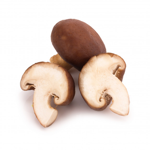 Buy Shiitake Mushrooms Online in Bulk at Mount Hope Wholesale