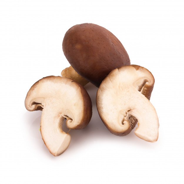 shiitake mushroom